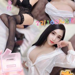 桃園定點茶 白雪