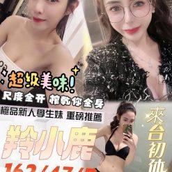 羚小鹿