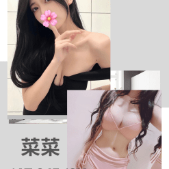 菜菜