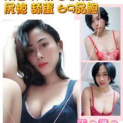台北定點 霞草