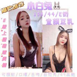 台北定點 小白兔