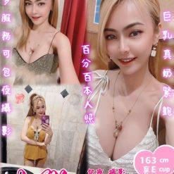 台北定點 小貓