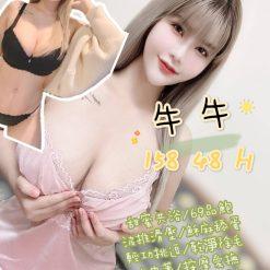 台北定點茶 牛牛