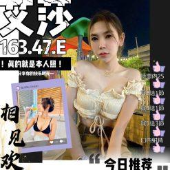 嘉義定點 艾莎