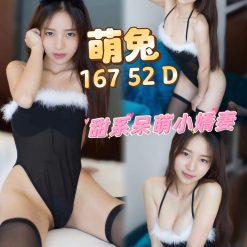 台北定點 萌兔