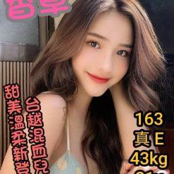 台中定點茶 香草